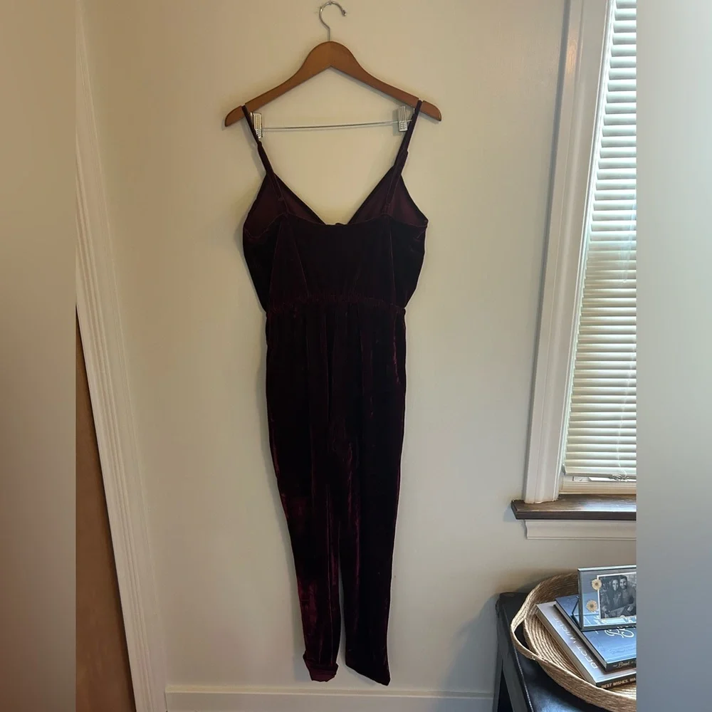 NWT cupcakes & cashmere Velvet Jumpsuit - Picture 3 of 11